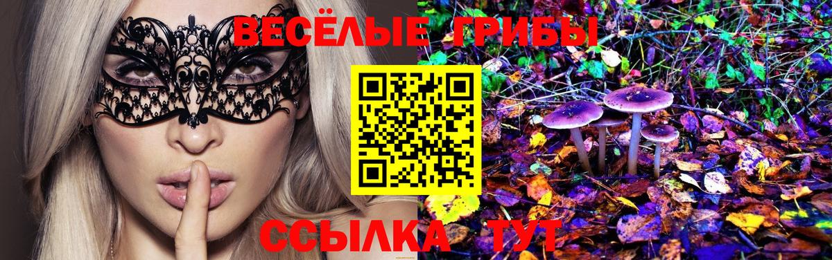 Белорецк  Псилоцибиновые грибы Cubensis  Галлюциногенные грибы мухоморы  Вход с VPN 