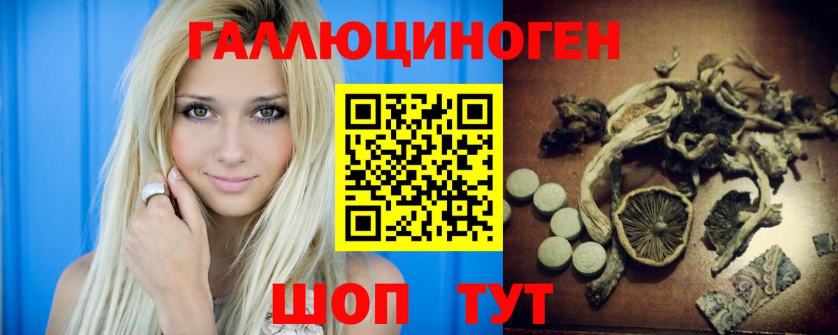 Псилоцибиновые грибы Psilocybe Белорецк